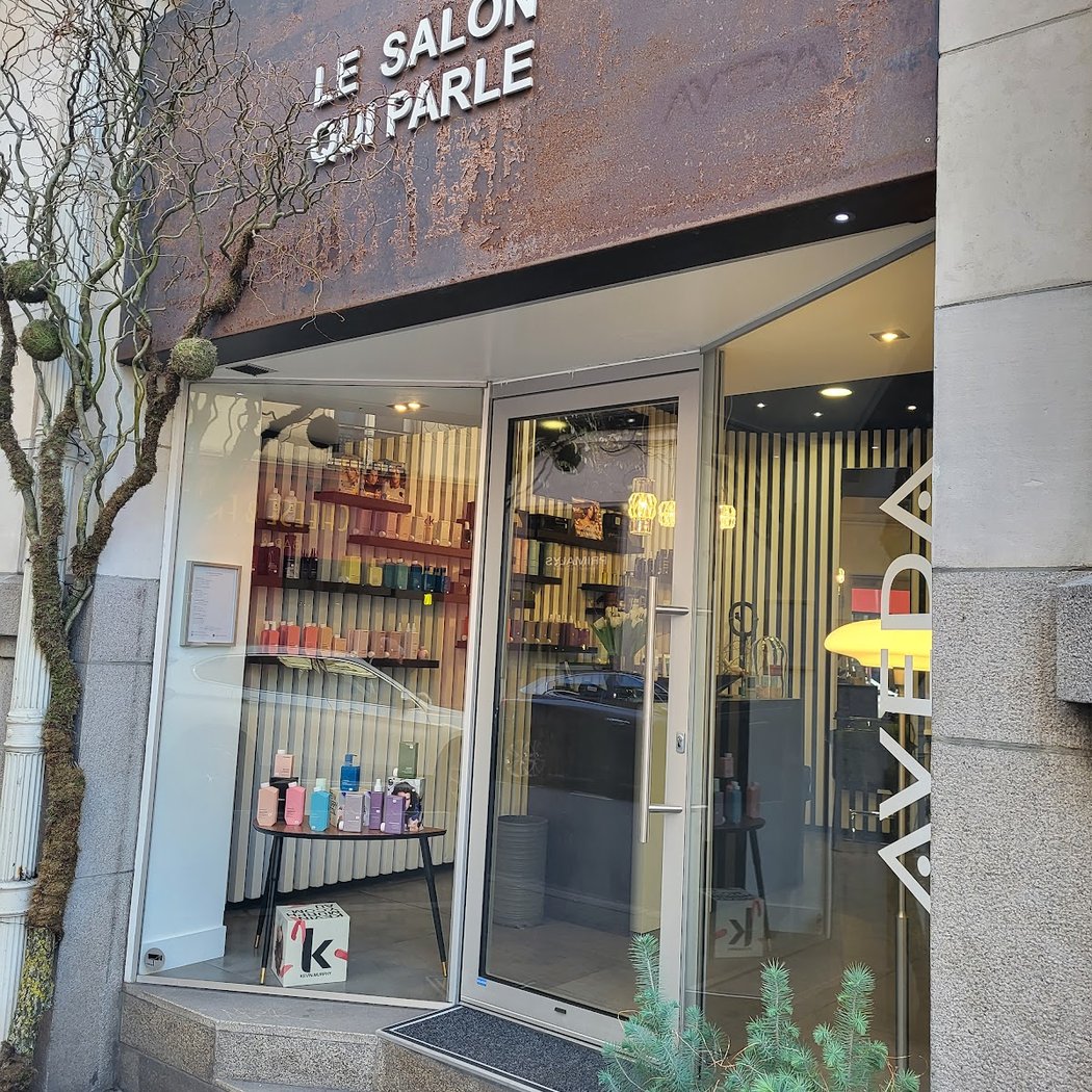 Le Salon Qui Parle 3