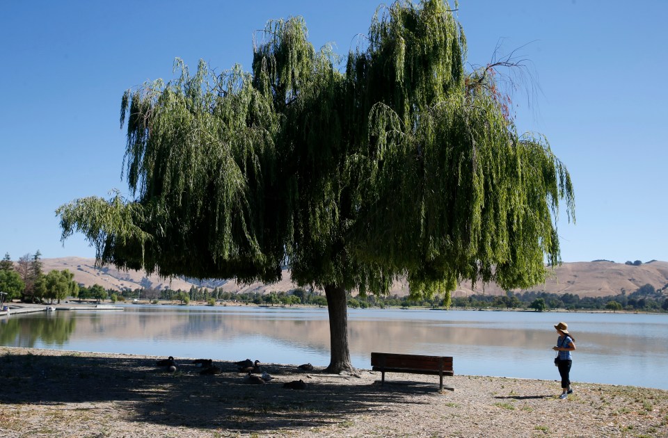 Fremont 2