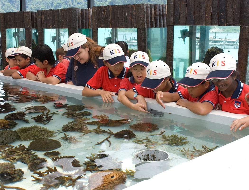 Marine Science Sunday Interactive Programs