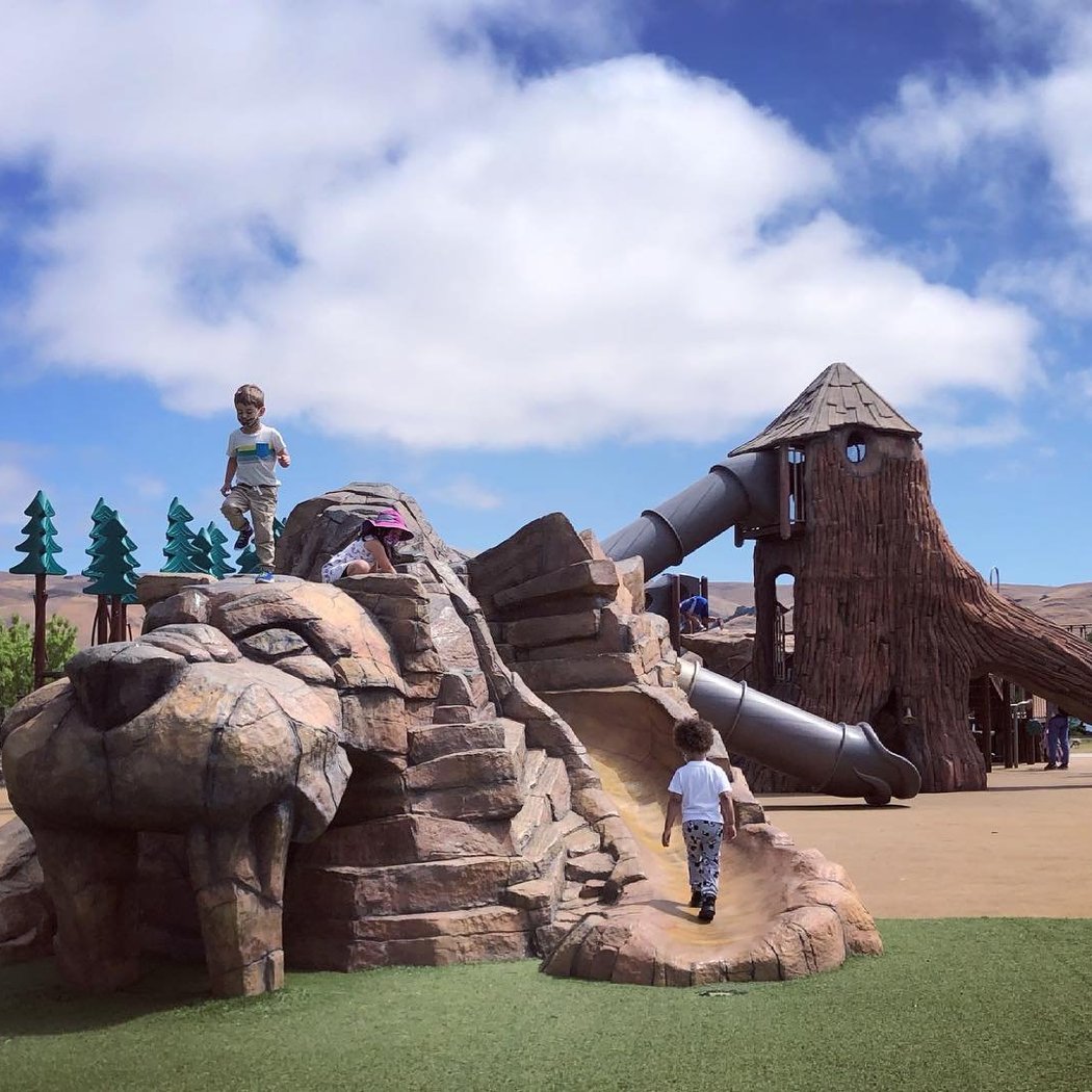 Sabercat Play Area Central Park 1