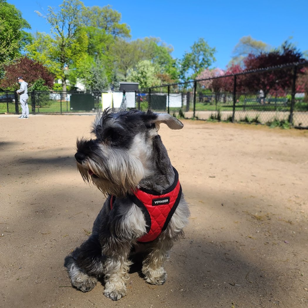 Forest Park Barking Lot 1