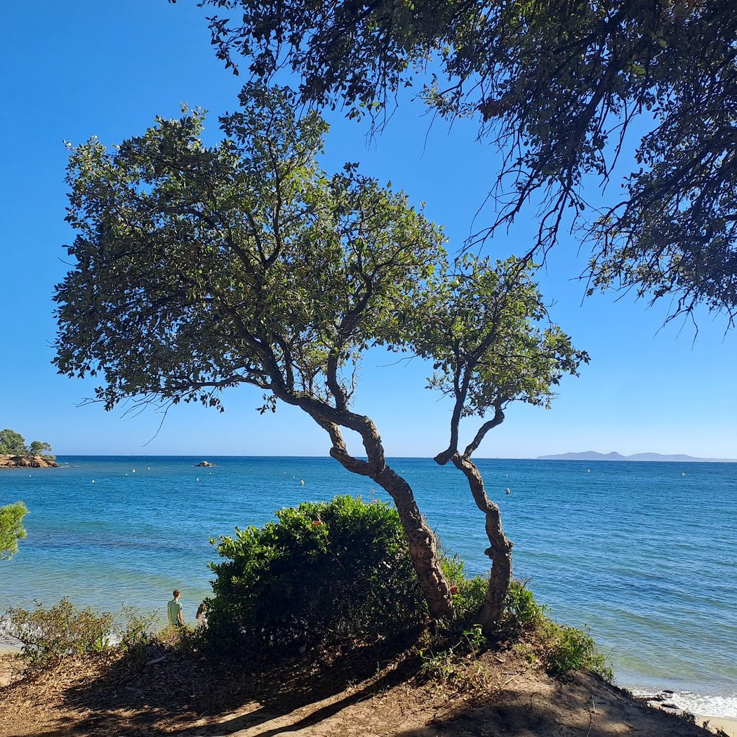 Plage du Pellegrin 5