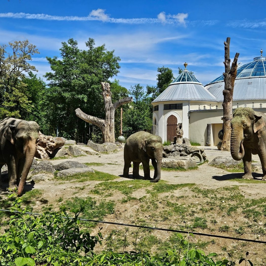 Hellabrunn Zoo 2