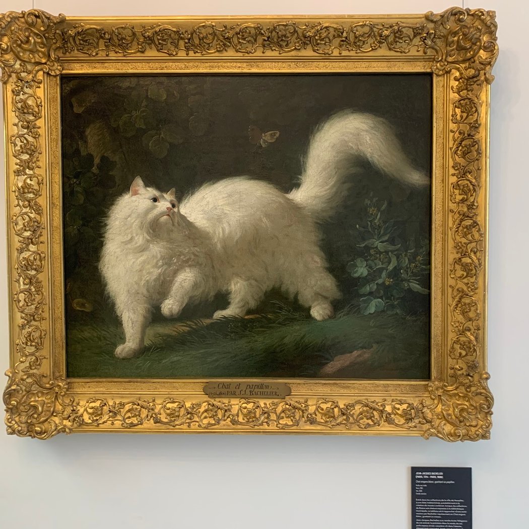 Nuit des Musées 2026 1