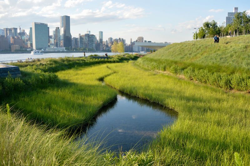 Walk and Talk: Wetland Grasses 1