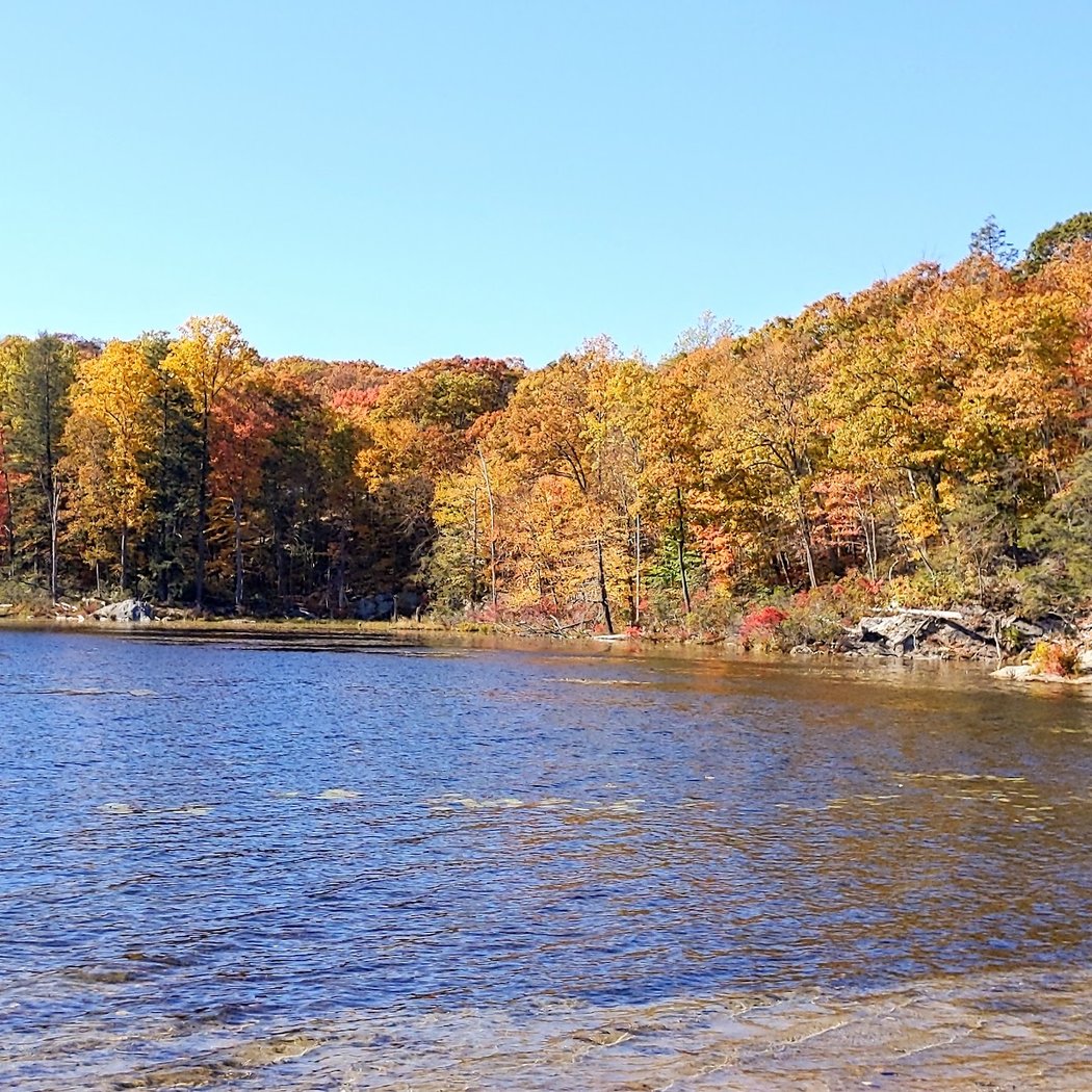Canopus Lake Beach 1