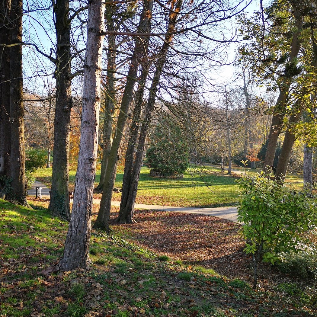 Parc Paumier 3