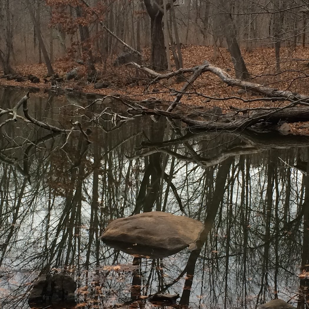 Fred Dill Wildlife Sanctuary 1