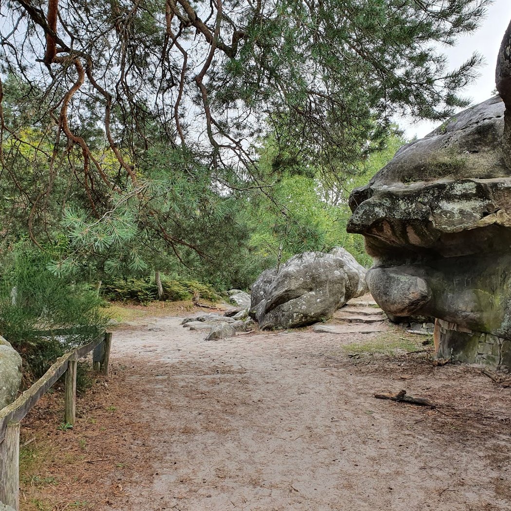 The Hermitage, Franchard Fontainebleau 2
