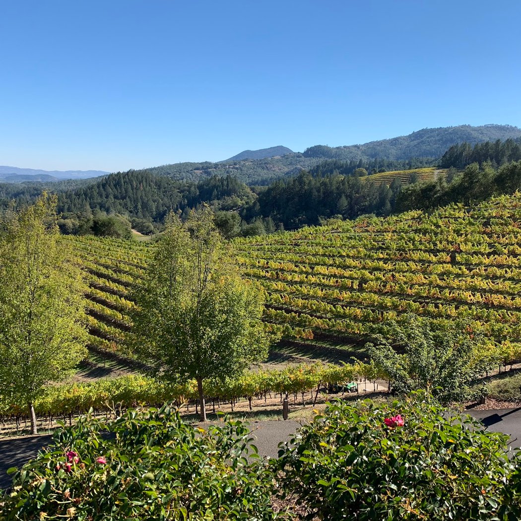 Newton Vineyard 3