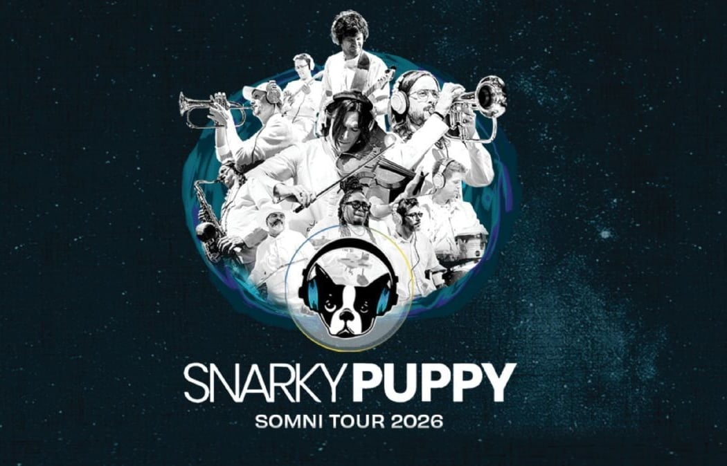 Snarky Puppy