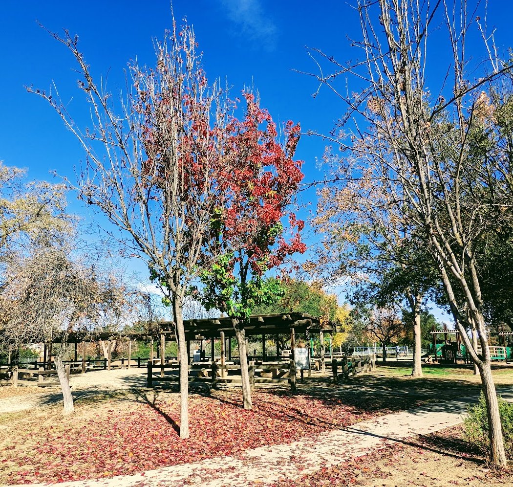 Calabazas Park 1
