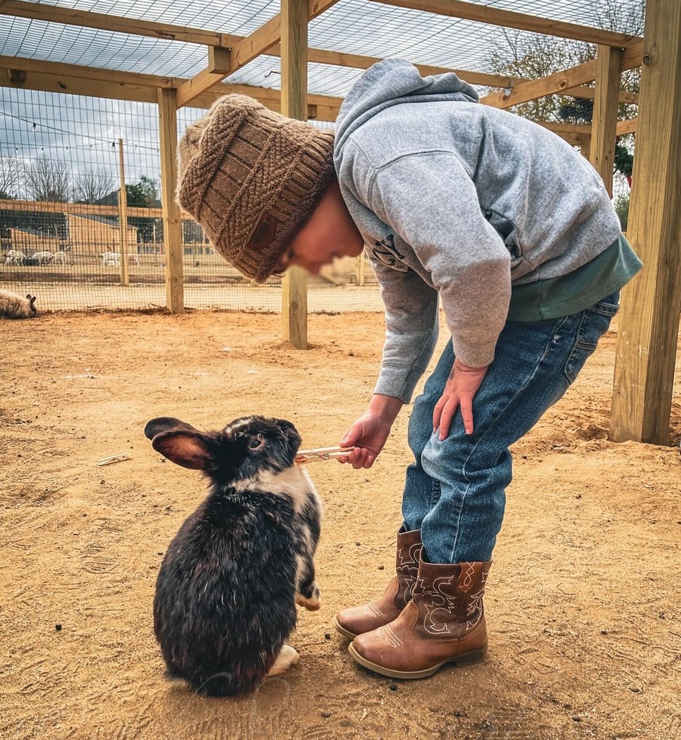 Carm’s Farm 1
