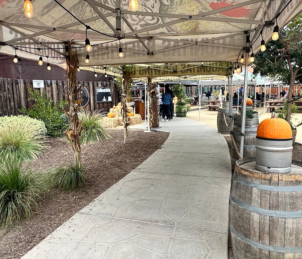 Live at Lagunitas summer concert series 3
