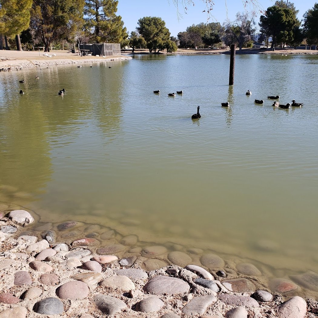 Roadrunner Park 2