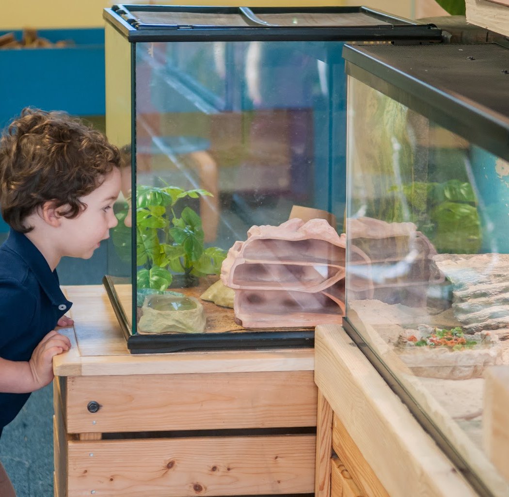 Niantic Children's Museum 1