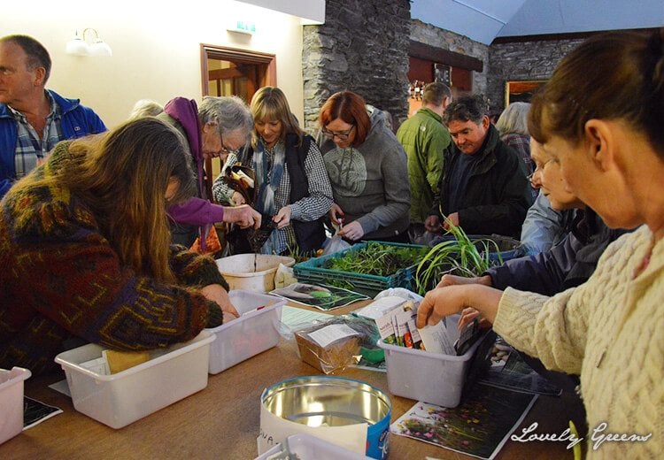 Community Plant Swap 1