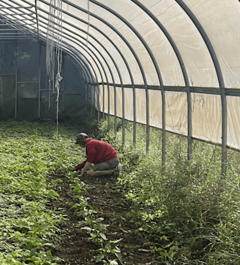 Farming in the Margins: Diasporic Preservation and Ecological Resilience