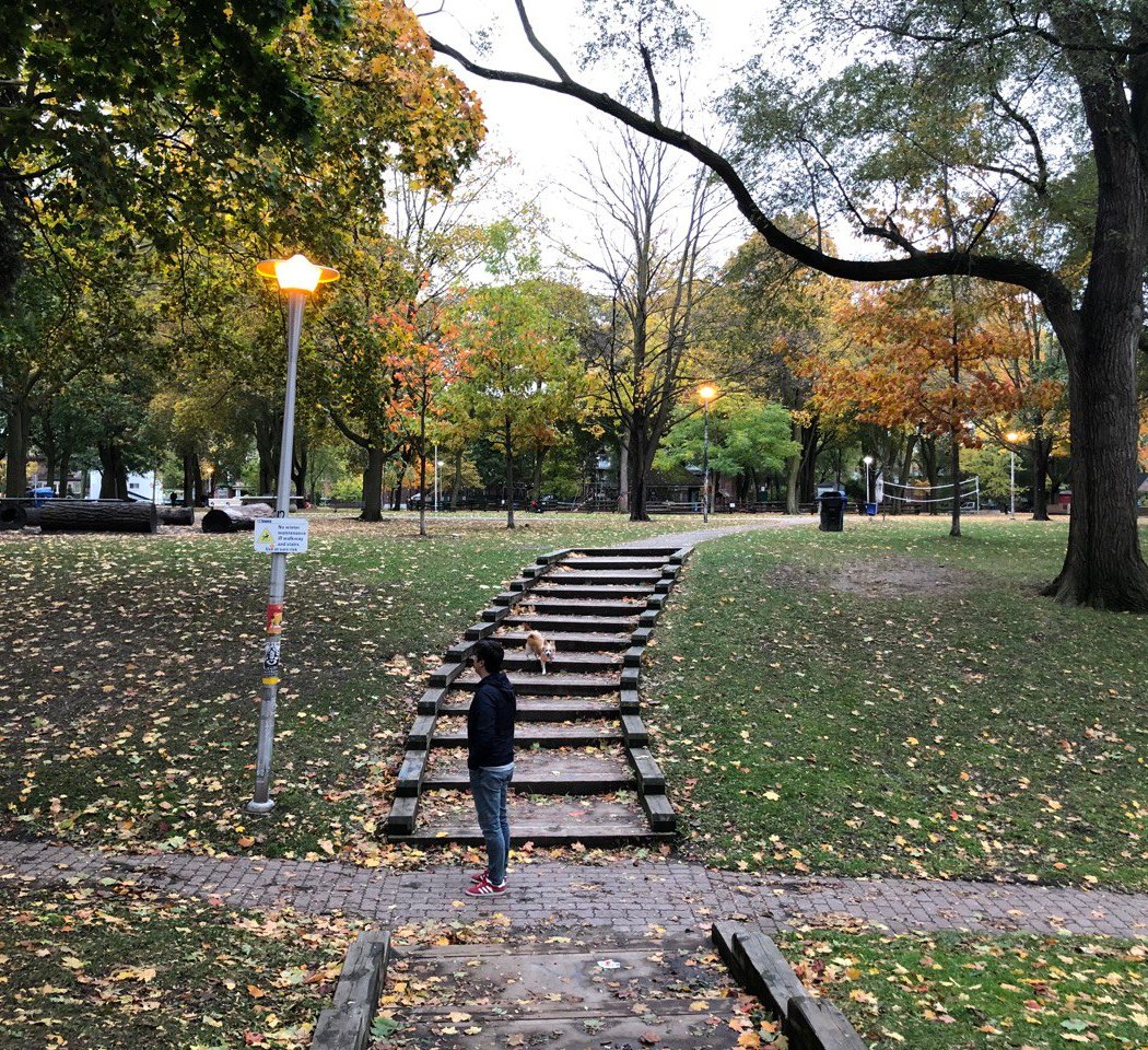 Dufferin Grove Park 2