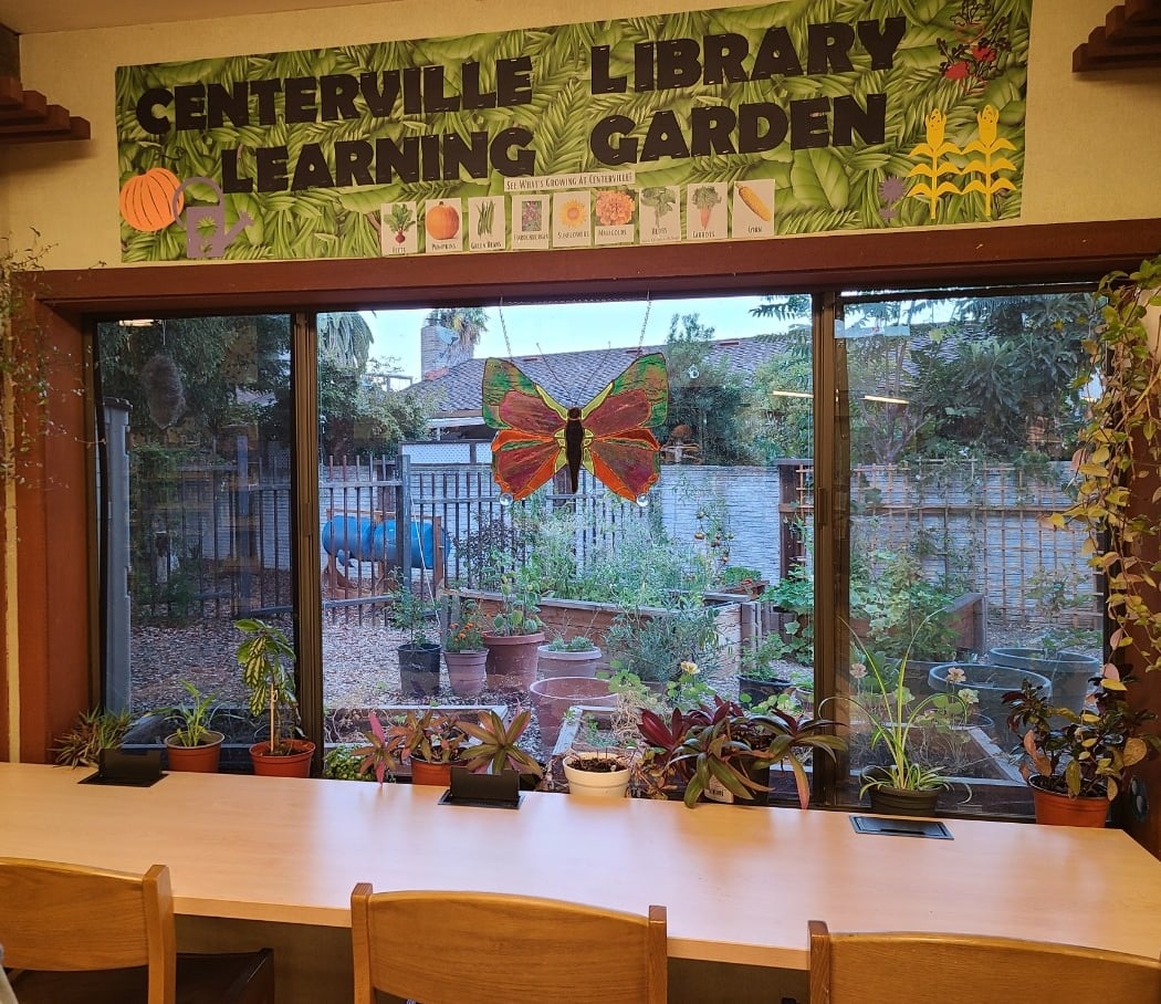 Centerville Library 1