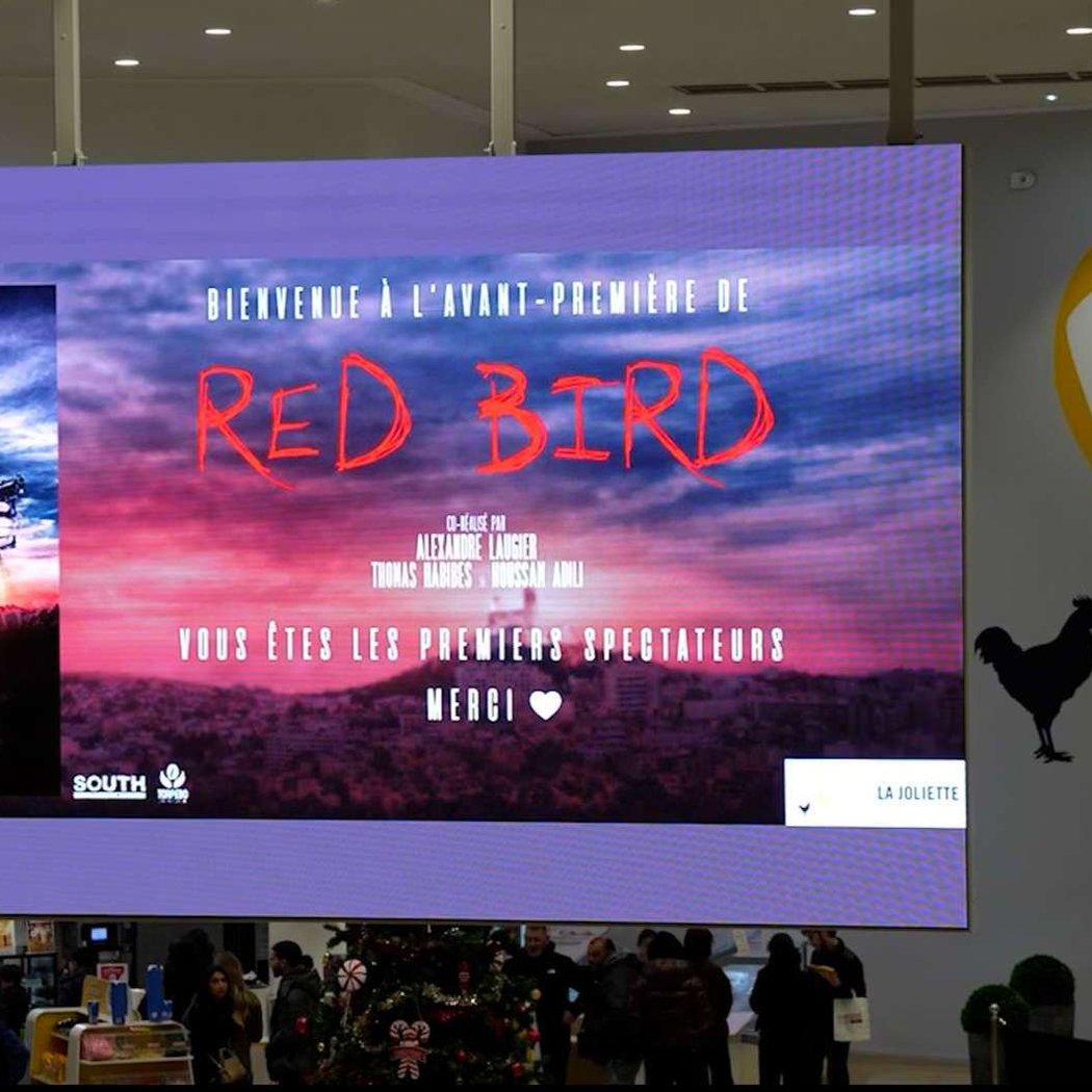 Red Bird 1