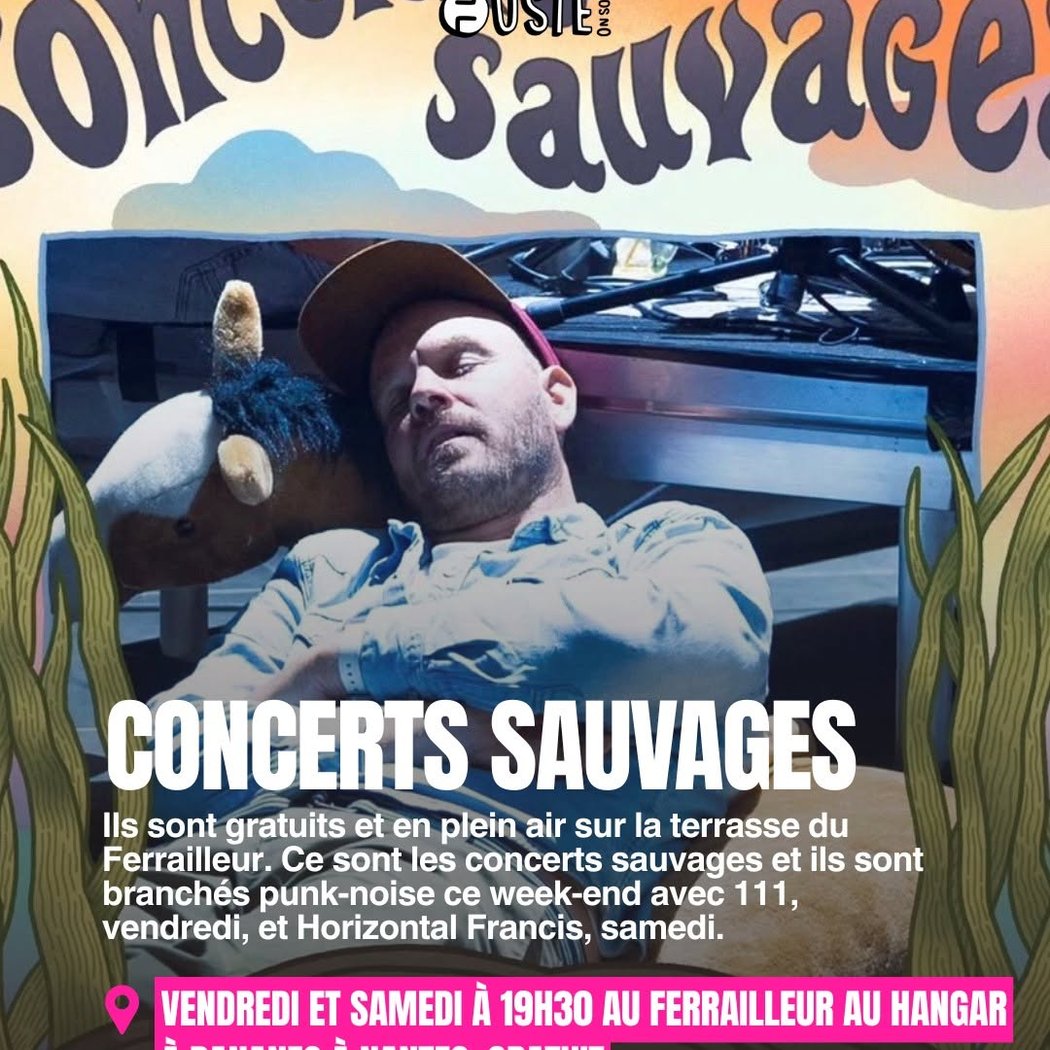 Concerts Sauvages