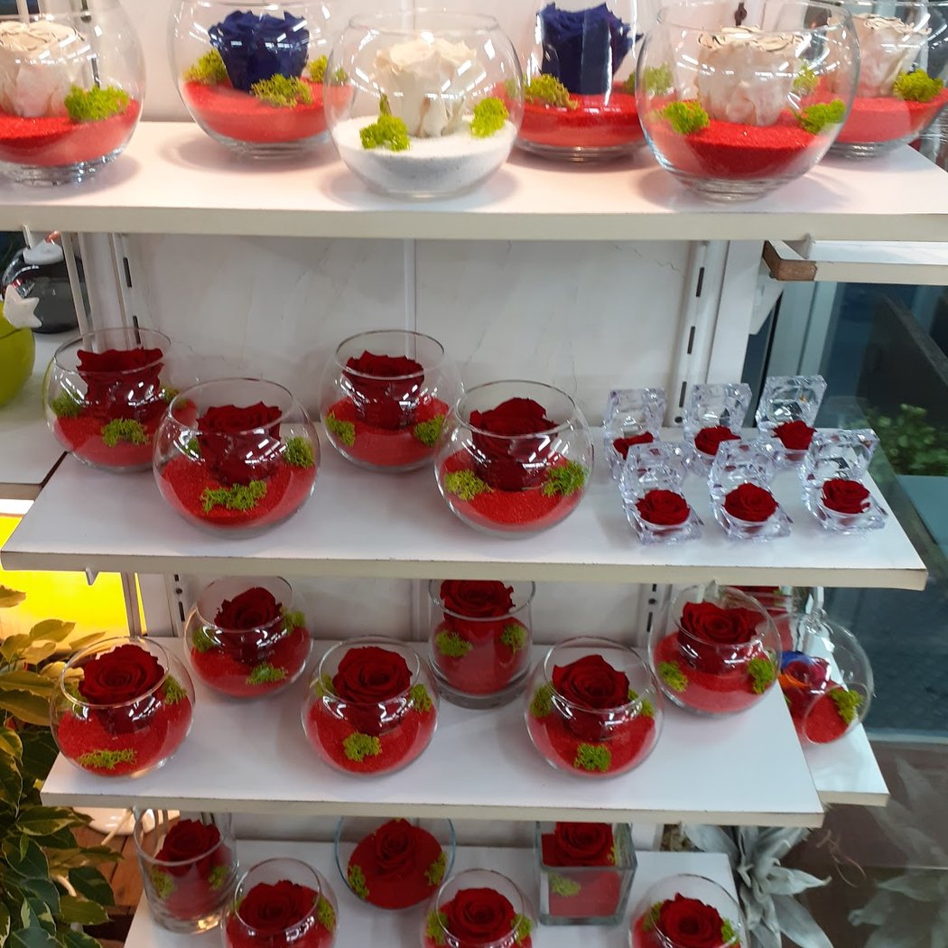Maxi-Flora 3