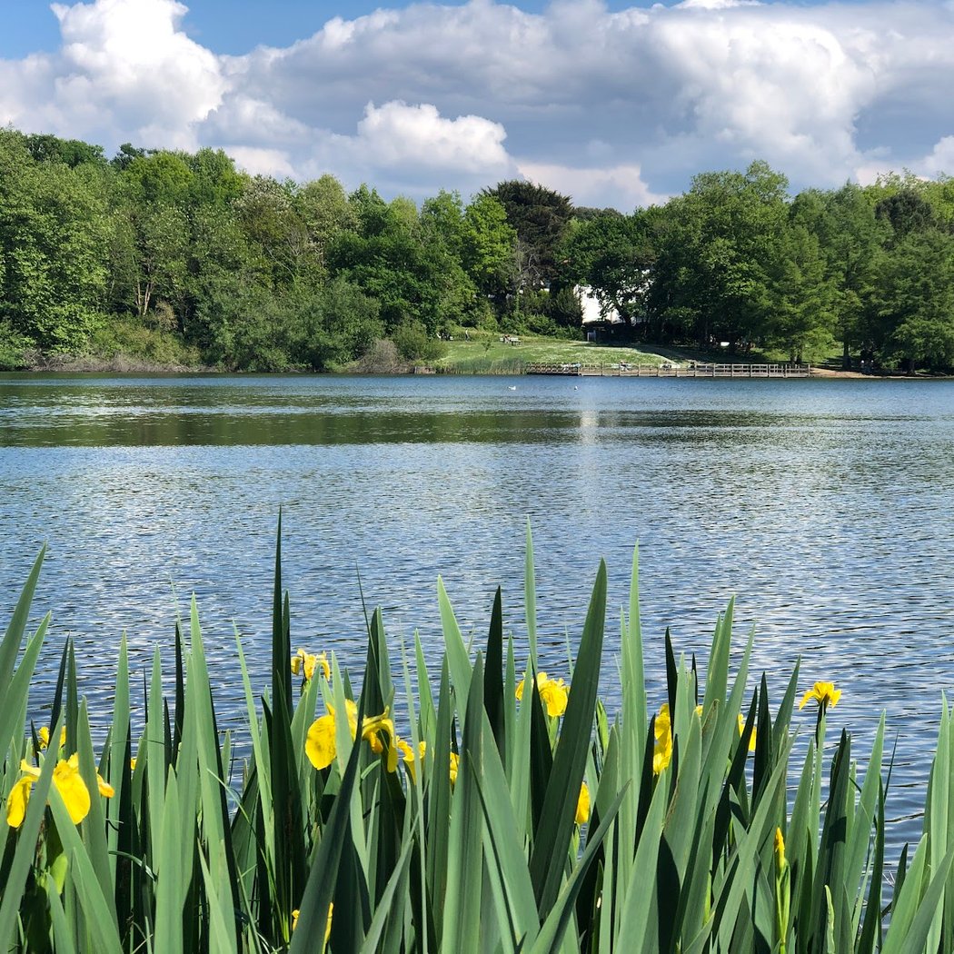 Lac Marion 1