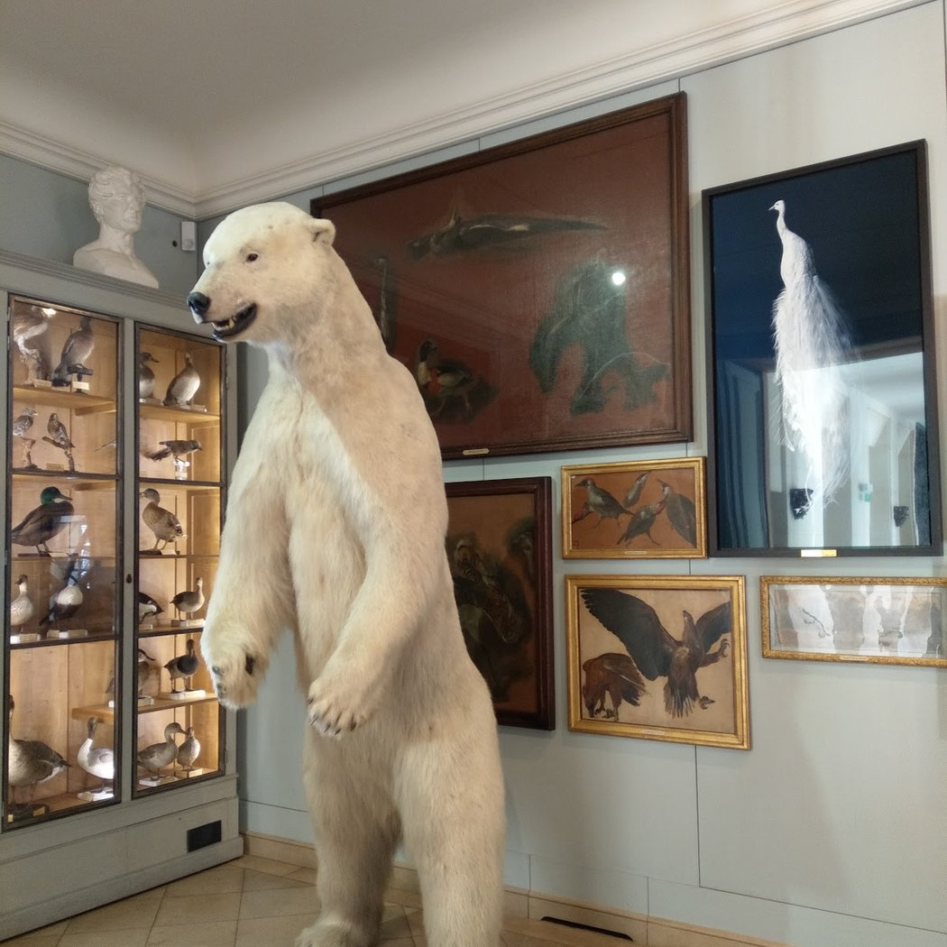 Avec l'Animal 2