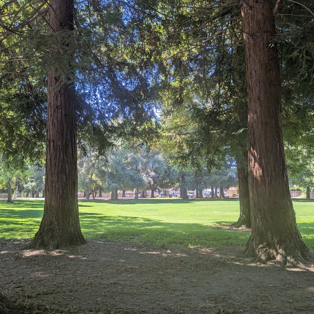 Woodcreek Park 1
