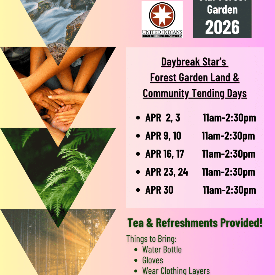 Daybreak Community & Land Tending 1