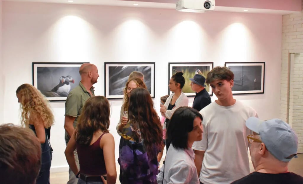 Cody Cianfrance Exhibition 2