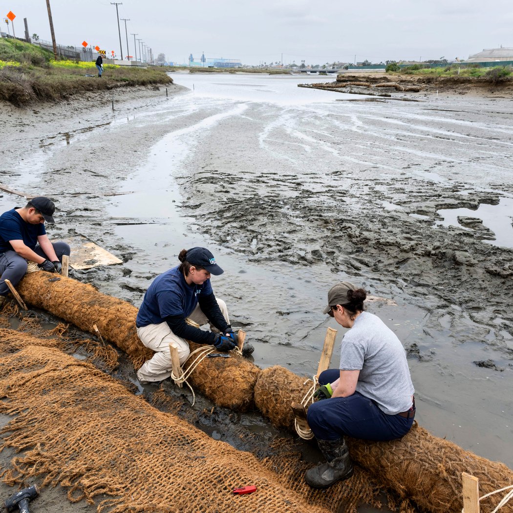 Huntington Beach Wetlands Conservancy Cleanup with Veterans 3