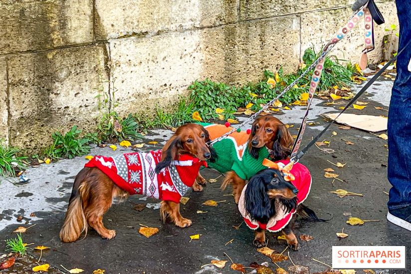 Paris Sausage Walk 1