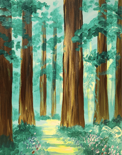 Redwood Stroll 1