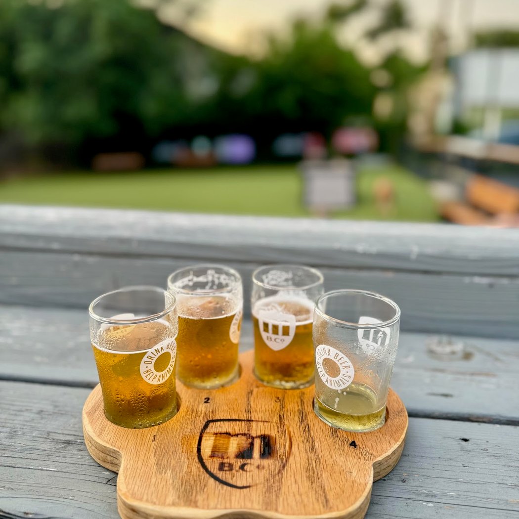 Metazoa Brewing Company 3