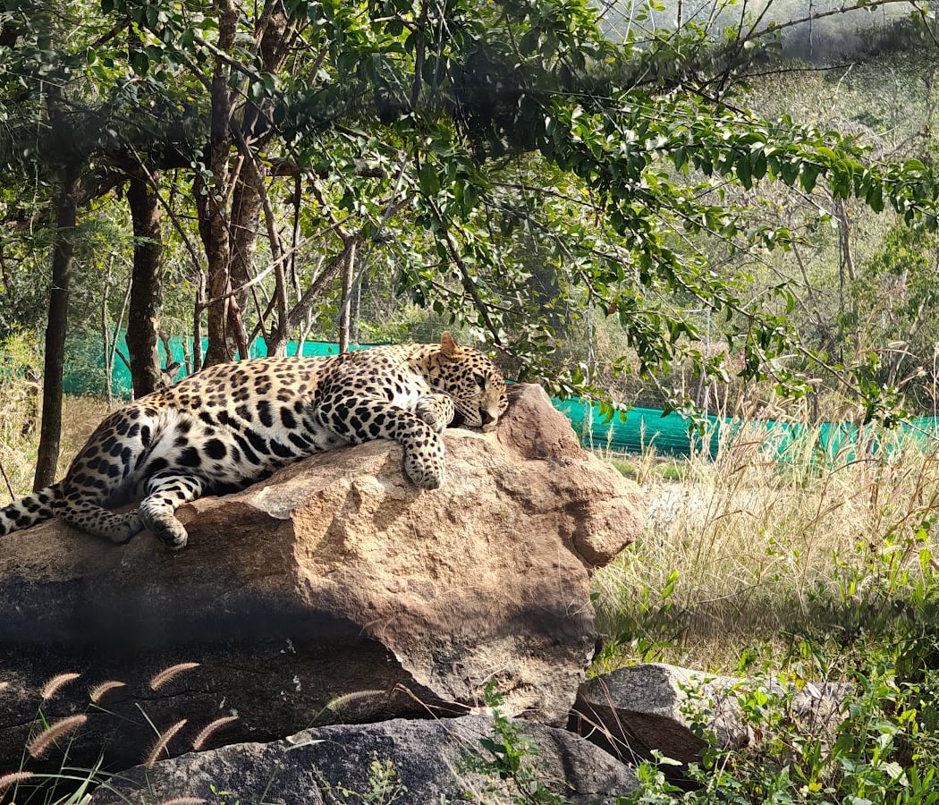 Bannerughatta Biological Park 3