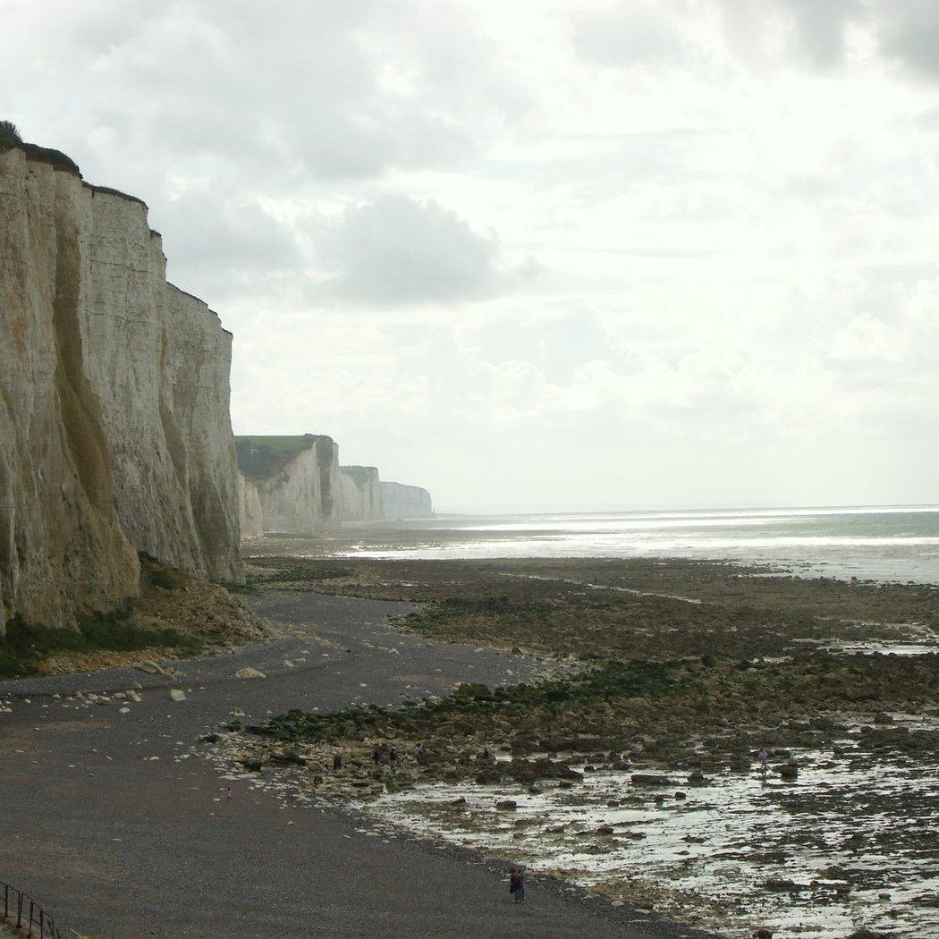 Le Bois de Cise 2