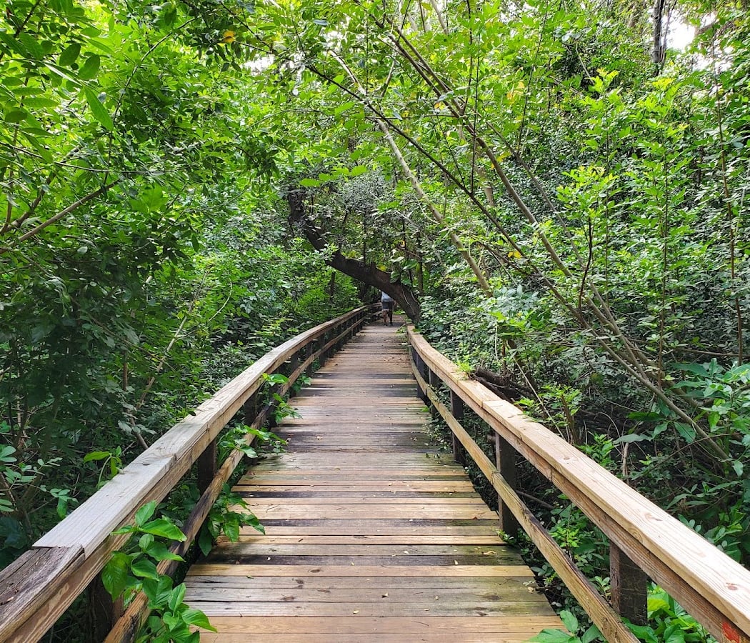 Snyder Park 2
