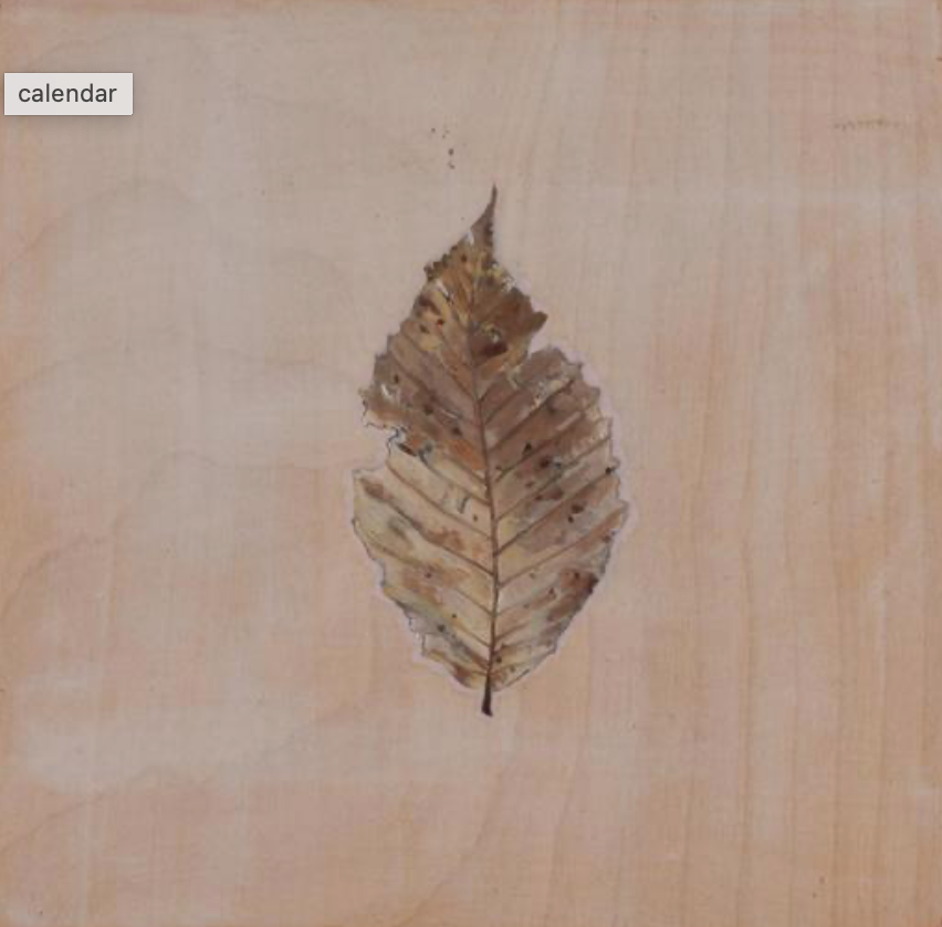 Underfoot: Portraits of Leaves 1