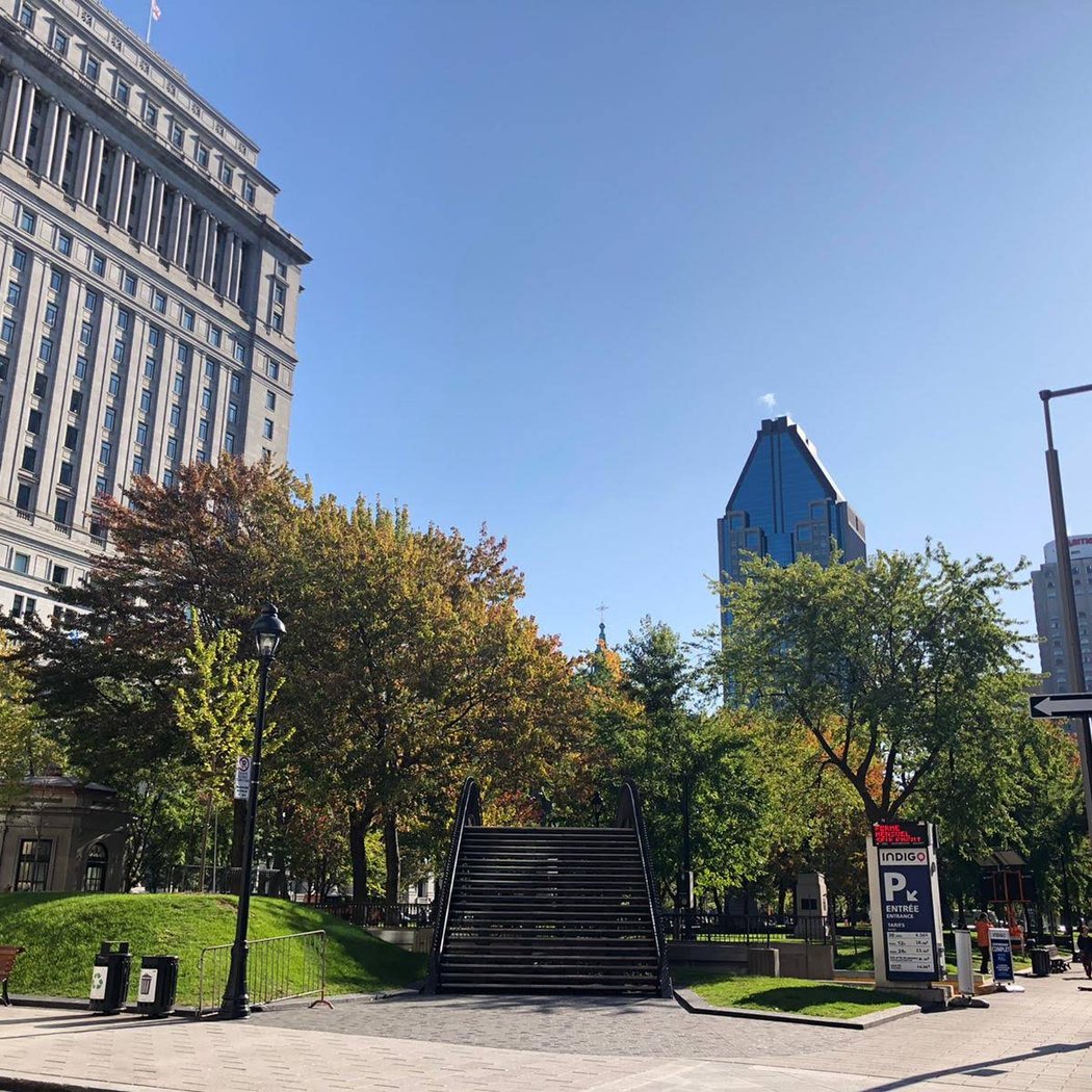 Dorchester Square 4