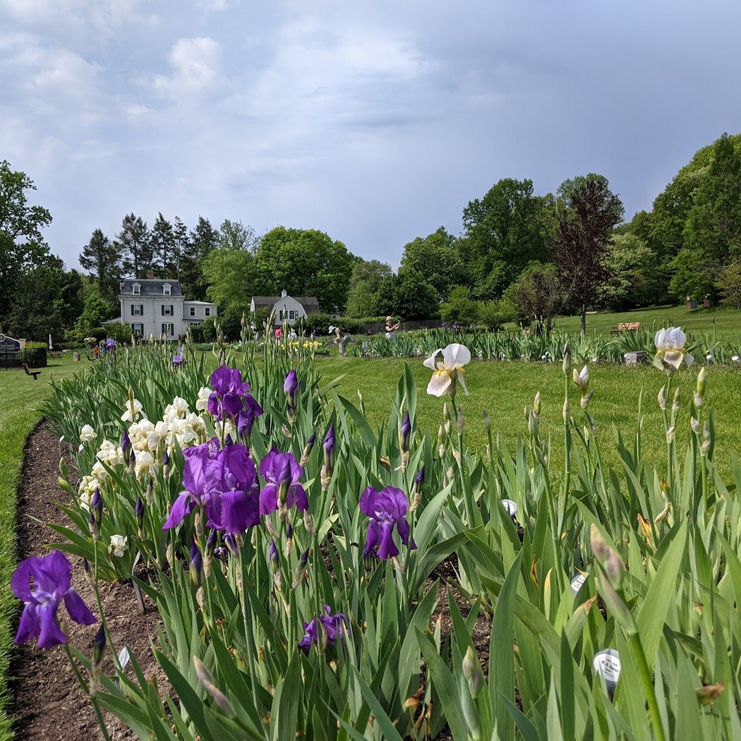 Presby Iris Gardens 3