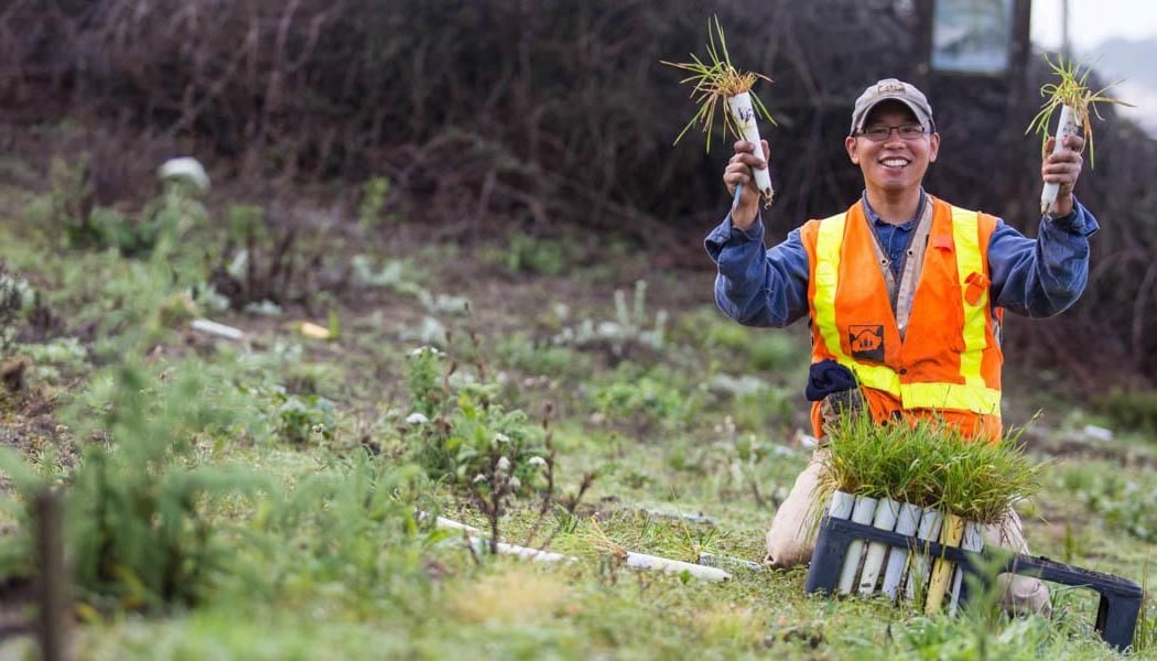 Presidio Habitat Stewards
