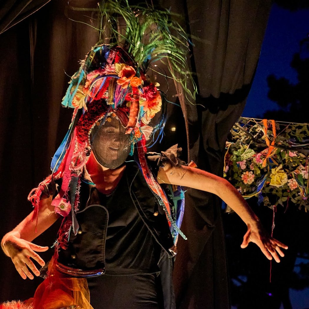 Le Bal des Oiseaux 3