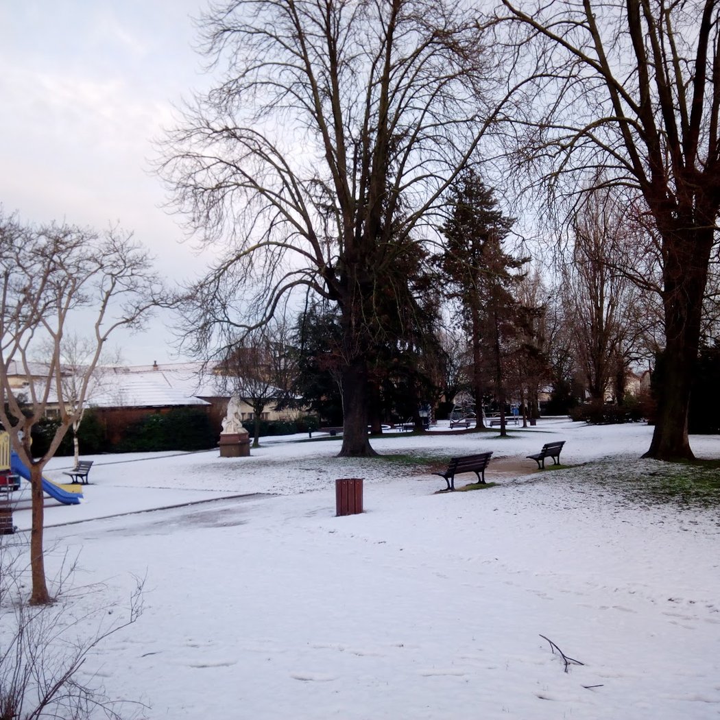 Square de la Pie 3