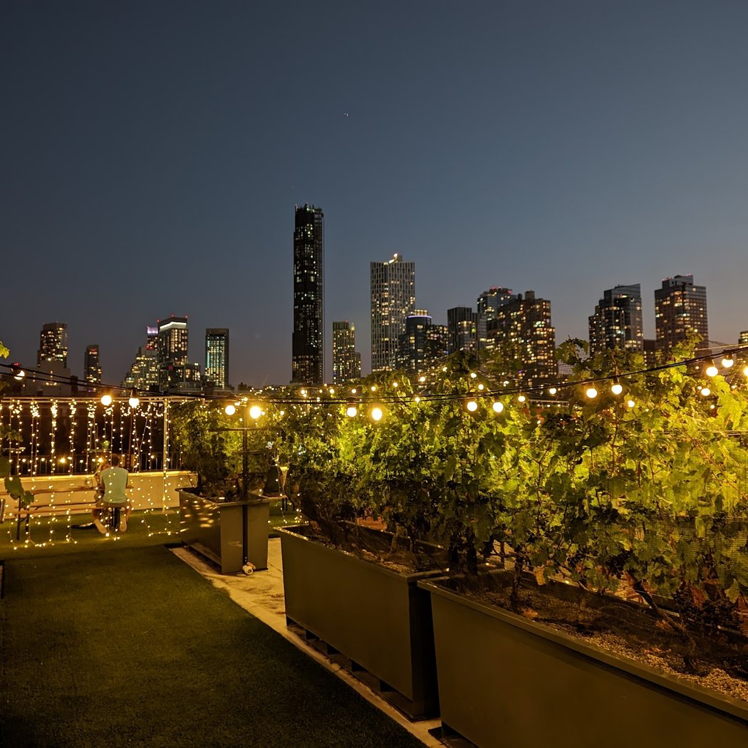 Rooftop Reds Vineyard Tour 5