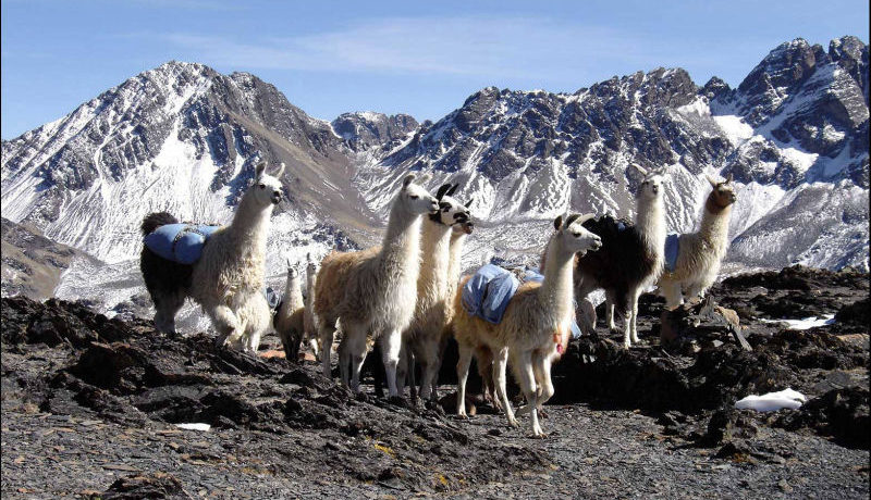 Bolivie - Cultures et Traditions 2