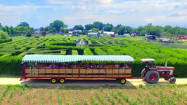 Harbes Family Farm - Mattituck 1