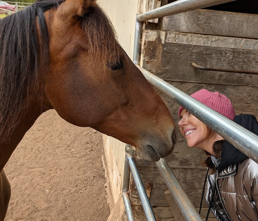 Spring Round-up: Family Day with Horses 1