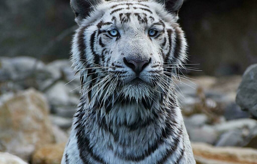 Zoo Barben 2